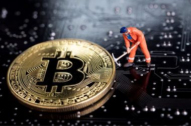 bitcoin dice