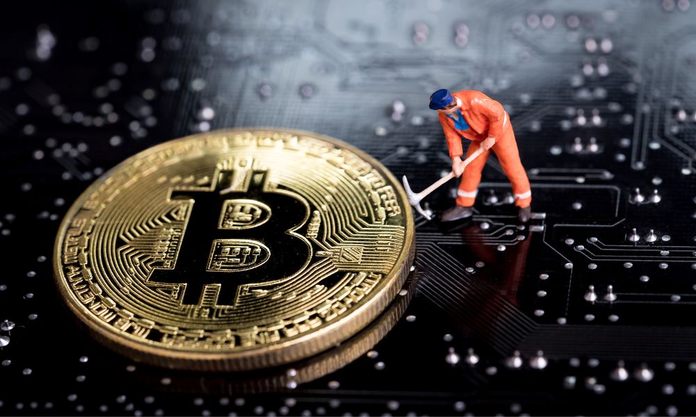 bitcoin dice